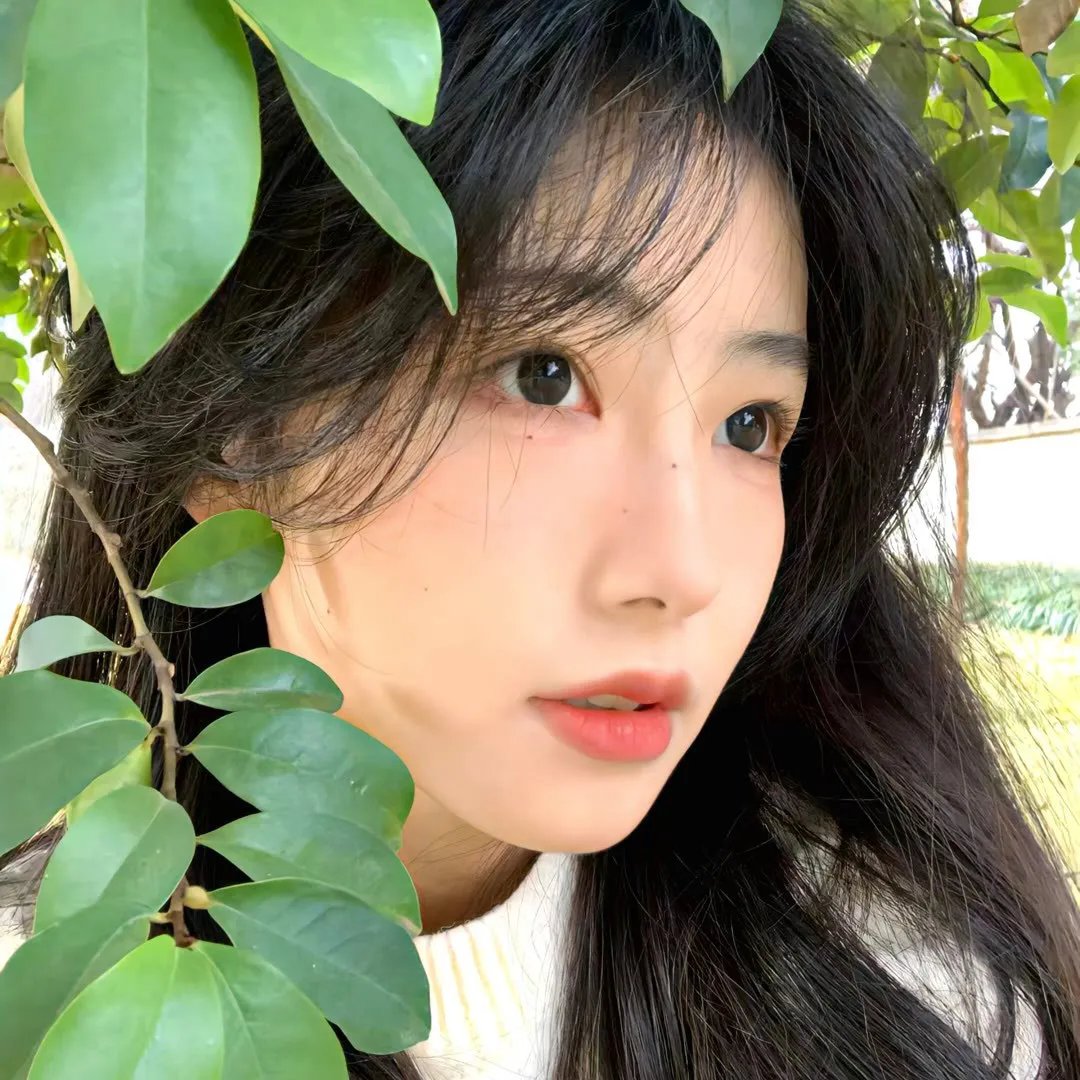 皇上保重国语